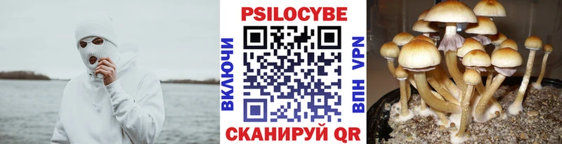 Галлюциногенные грибы MAGIC MUSHROOMS  Купить где  Набережные Челны 